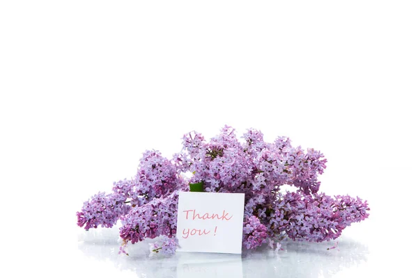 Bouquet Beautiful Spring Flowers Lilac Isolated White Background — Stock Photo, Image