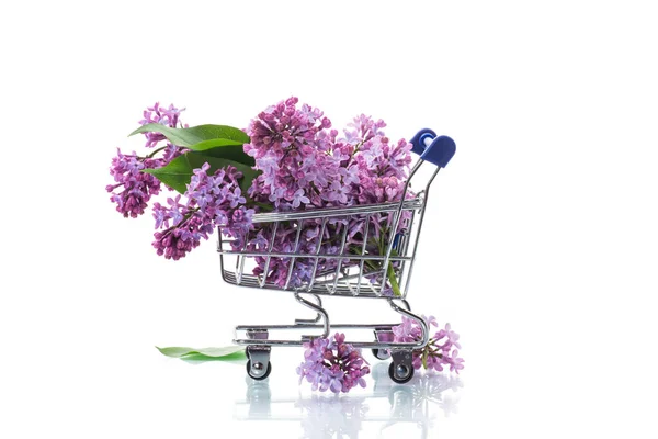春の花の花束白い背景に隔離されたショッピングカートでライラック ロイヤリティフリーのストック画像