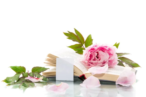 Pioen roze mooie bloem, boek, lege kaart — Stockfoto