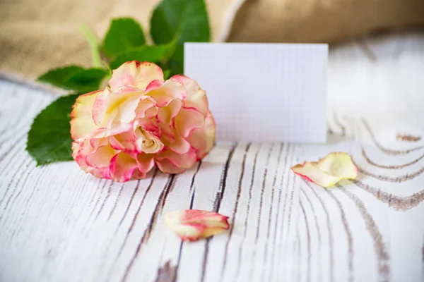 Ανοιχτό ροζ τριαντάφυλλο με λευκή κάρτα για κείμενο σε ξύλινο — Φωτογραφία Αρχείου