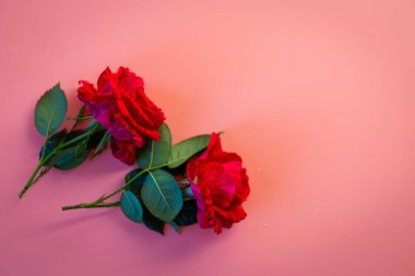 İki kırmızı gülden oluşan romantik bir buket.