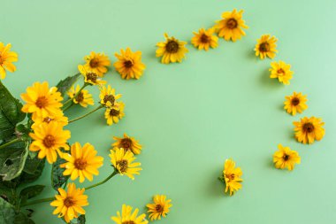 Parlak sarı çiçekler yeşil arkaplanda güzel bir şekilde dizilmiş..