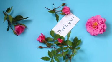 Mavi arka planda pembe bahçe gülleri.