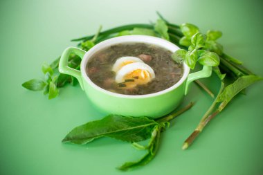Yeşil arkaplanda yumurta ve doru yeşil bir borş tabakasının üst görüntüsü..