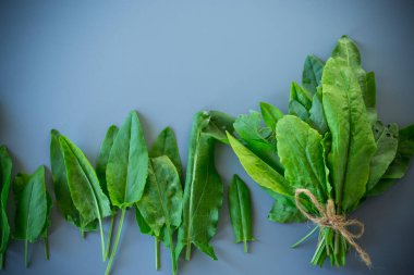 Gri arka planda yaz yemekleri için sağlıklı kuş sürüsü.