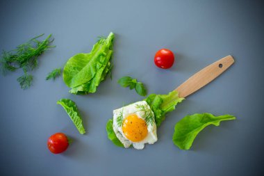 Gri arka planda ahşap spatulada yeşil yumurta..