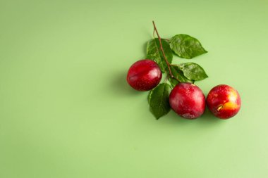 Yaz bahçesi meyveleri minimalist kompozisyonu ve kopyasal alan.