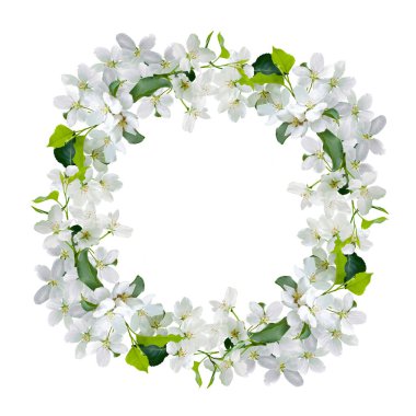 Çiçek açan elma ağacının dallarıyla sınır