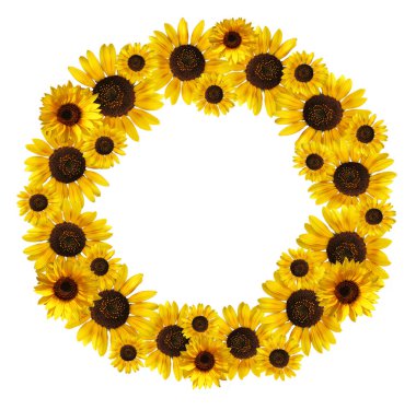 Beyaz arkaplanda sarı ayçiçeği sınırı