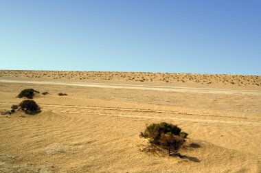 kumlu dune adlı büyük Sahra Çölü. Tunisie. Afrika