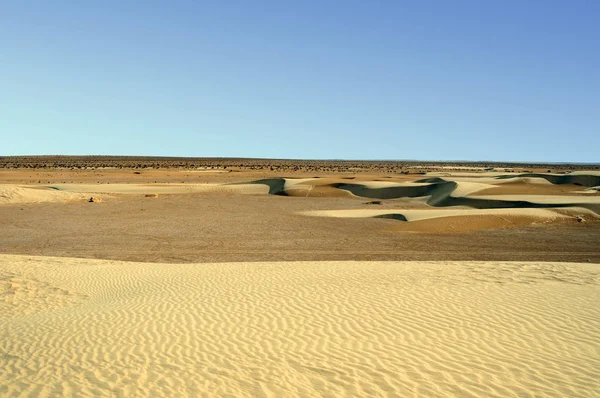 Duna Arenosa Desierto Del Gran Sahara Tunecina África — Foto de Stock