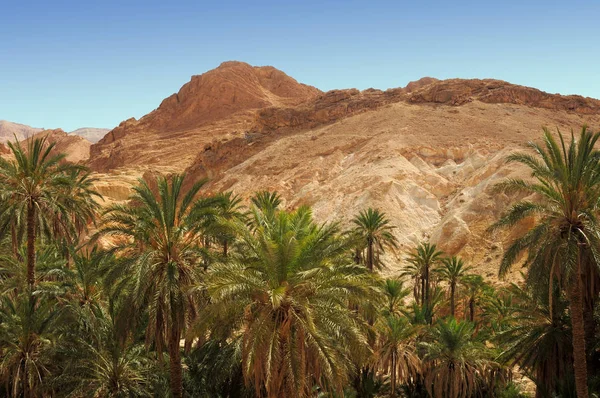 Het Atlas Gebergte Sahara Tunesië Afrika — Stockfoto