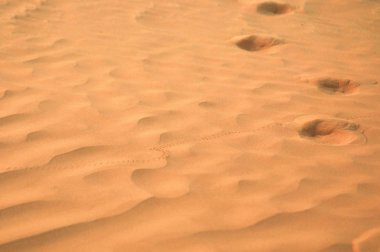 kumlu dune adlı büyük Sahra Çölü. Tunisie. Afrika