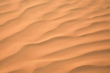 kumlu dune adlı büyük Sahra Çölü. Tunisie. Afrika