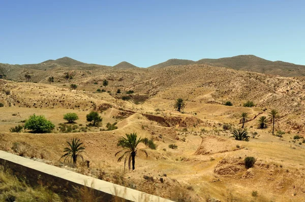 Zandige Duin Grote Sahara Woestijn Tunisie Afrika — Stockfoto