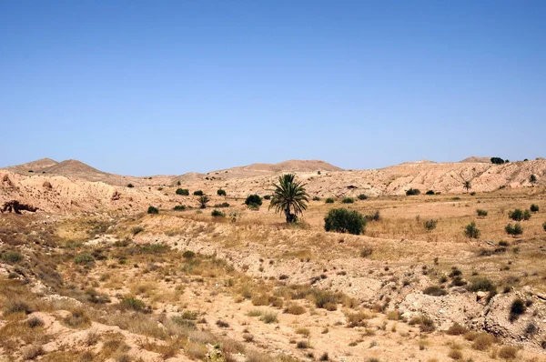 Sandig Dyn Stora Saharaöknen Tunisie Afrika — Stockfoto