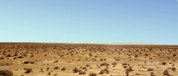 Sandig Dyn Stora Saharaöknen Tunisie Afrika — Stockfoto