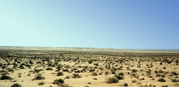 Sandig Dyn Stora Saharaöknen Tunisie Afrika — Stockfoto