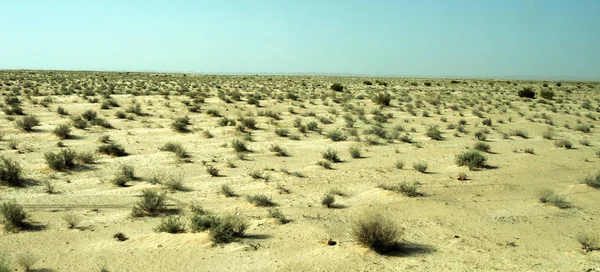 Zandige Duin Grote Sahara Woestijn Tunisie Afrika — Stockfoto