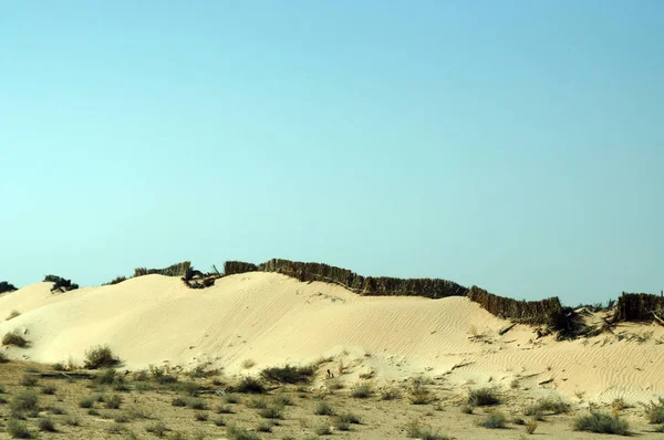 Duna Arenosa Desierto Del Gran Sahara Tunecina África — Foto de Stock