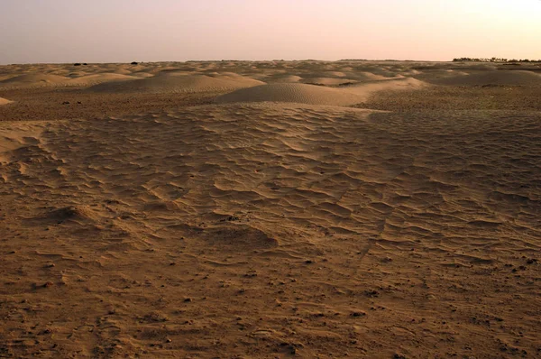 Zandige Duin Grote Sahara Woestijn Tunisie Afrika — Stockfoto