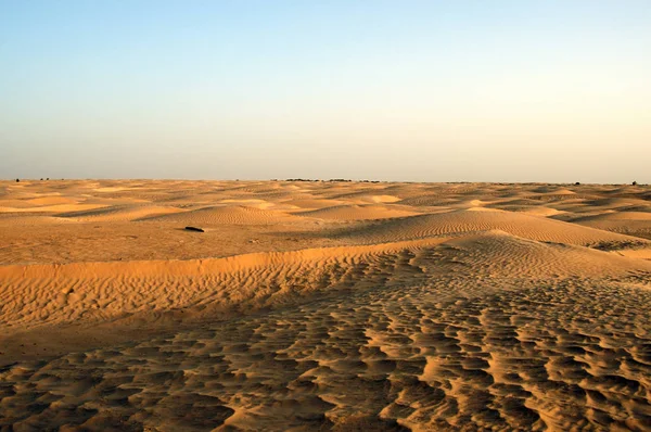 Zandige Duin Grote Sahara Woestijn Tunisie Afrika — Stockfoto