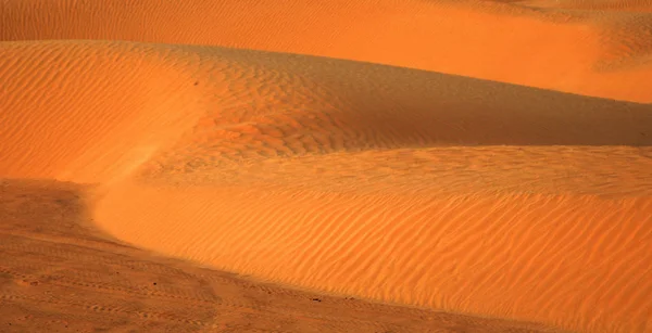 Zandige Duin Grote Sahara Woestijn Tunisie Afrika — Stockfoto