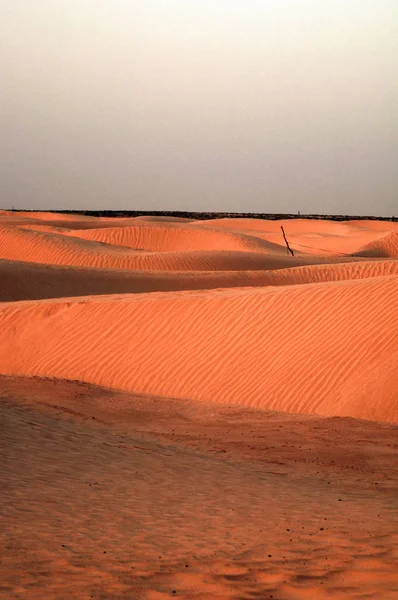 Dune Sablonneuse Dans Désert Big Sahara Tunisie Afrique — Photo