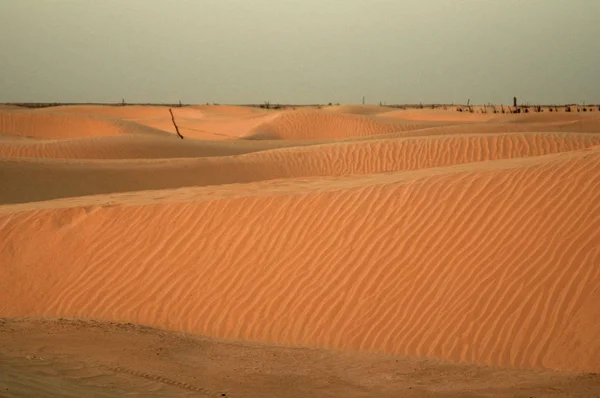 Piaszczyste Wydmy Pustyni Sahara Duże Tunisie Afryka — Zdjęcie stockowe