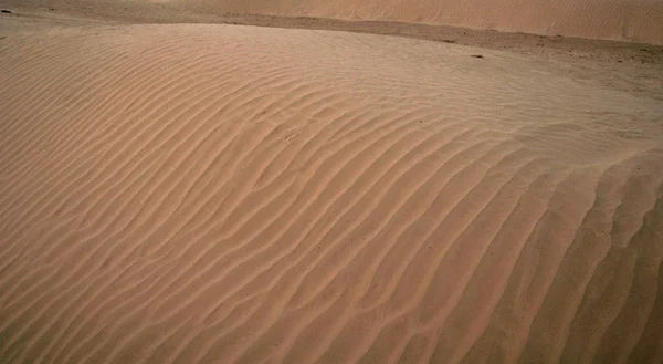 Zandige Duin Grote Sahara Woestijn Tunisie Afrika — Stockfoto