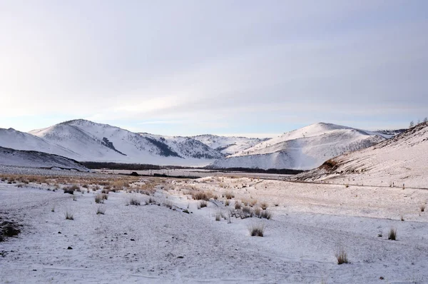 Vroege Ochtend Zonsopgang Tazheran Steppen Besneeuwde Heuvels Zijn Gekleurd Ultraviolet — Stockfoto