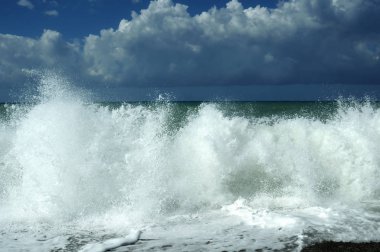 Sıçrayan dalgalar ile sahil manzarası