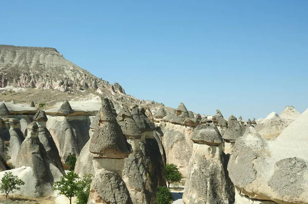 Blick Auf Uralte Felsen Mit Bäumen Der Wüste — Stockfoto