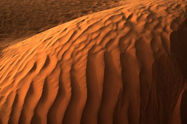 Yumuşak koyu sarı kum dokusu