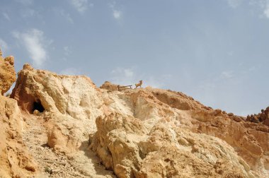 Gri gökyüzü arka planı ile ıssız kayalar