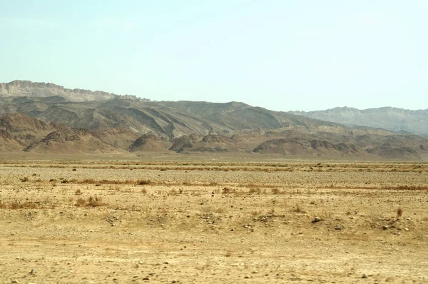 Woestijn Landschap Met Gedroogde Planten Zand — Stockfoto