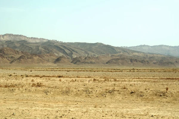 Öken Landskap Med Torkade Växter Och Sand — Stockfoto