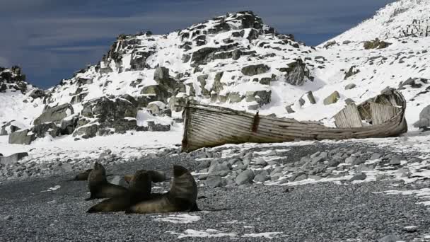 Hermosa vista de la montaña Antártica — Vídeos de Stock