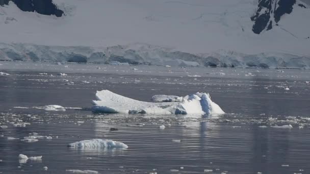 남극에서 마운틴 뷰 — 비디오