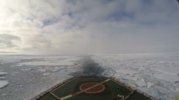 Viaje en el rompehielos en el hielo, Antártida — Vídeo de stock