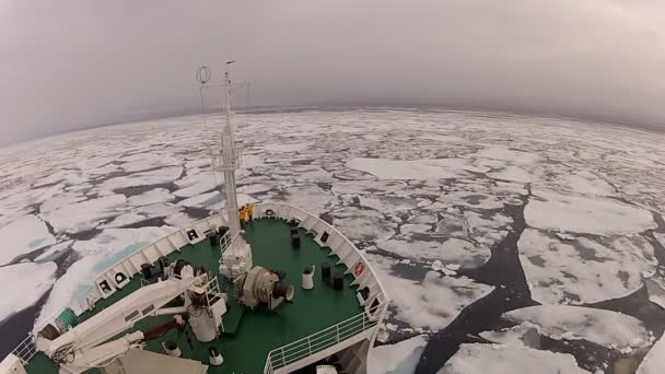 氷の中の砕氷船での旅、南極 — ストック動画