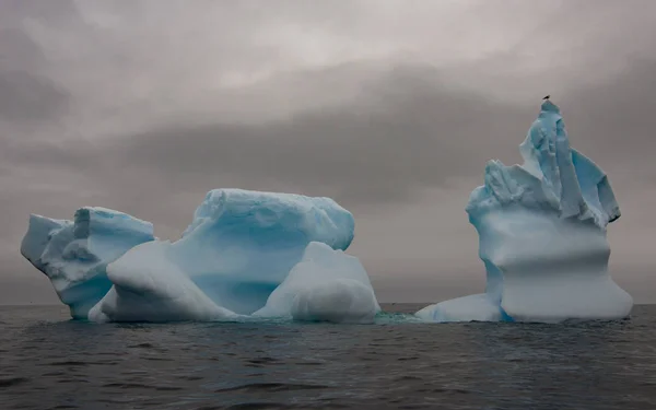 Bela vista de icebergs na Antártida — Fotografia de Stock