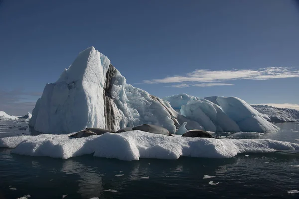 Piękny widok na góry lodowe na Antarktydzie — Zdjęcie stockowe