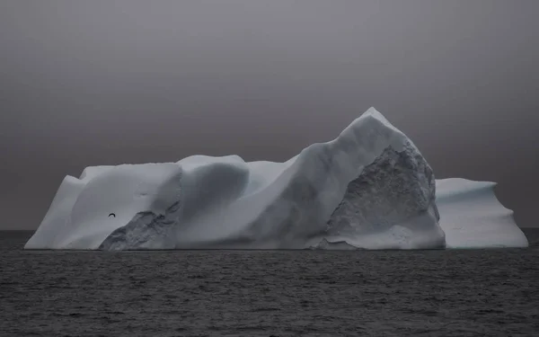 Bela vista de icebergs na Antártida — Fotografia de Stock