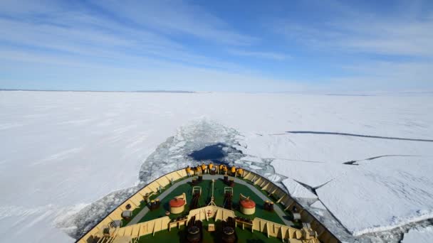 얼음에 있는 쇄 빙 선에 여행, 남극 대륙 — 비디오