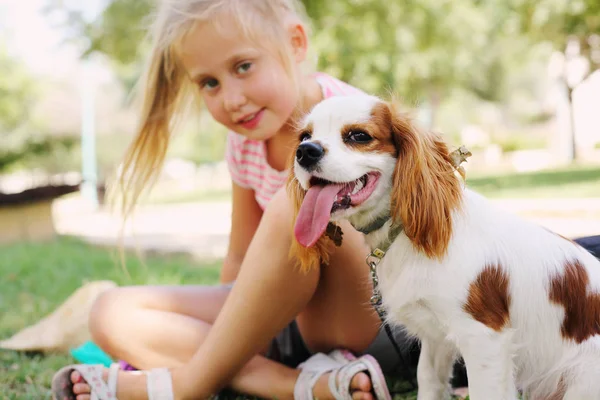 小学校笑顔ブロンド歳公園でチャールズ子犬キャバリア キングと座っている女の子 — ストック写真