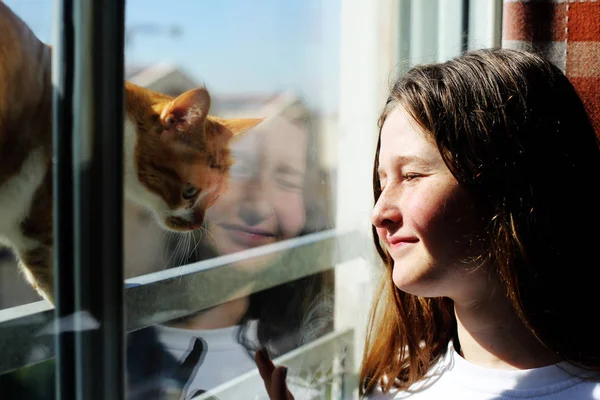 Ελκυστική Εφηβικό Κορίτσι Που Βλέπουν Έξω Από Παράθυρο Yhe Γάτα — Φωτογραφία Αρχείου