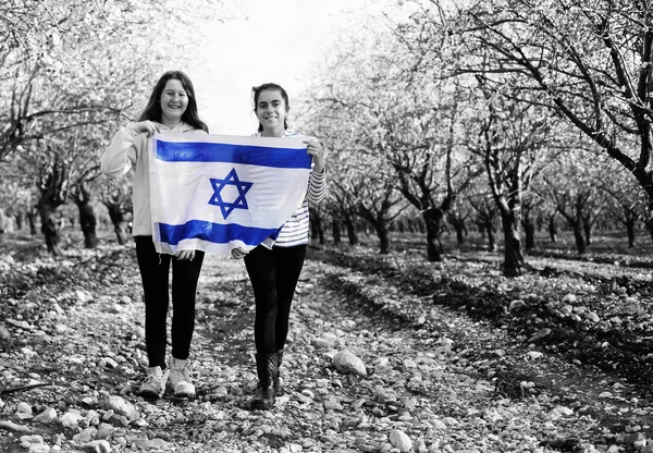 야외에서 이스라엘 국기를 — 스톡 사진
