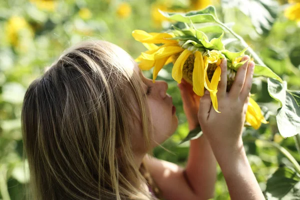 Portrait Cute Girl Enjoying Freedom Sunflowers Field — Stock Photo, Image