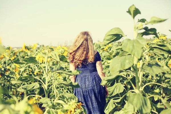 Retrato Mulher Madura Feliz Com Cabelos Longos Desfrutando Liberdade Campo — Fotografia de Stock